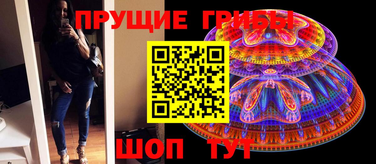 Псилоцибиновые грибы Cubensis  Вход с VPN  Михайловка 