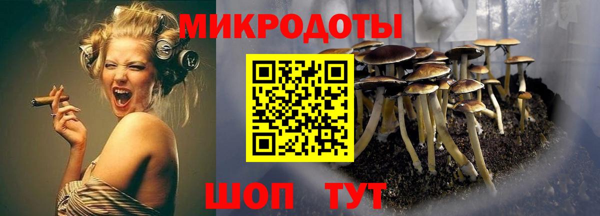 Галлюциногенные грибы Magic Shrooms Михайловка